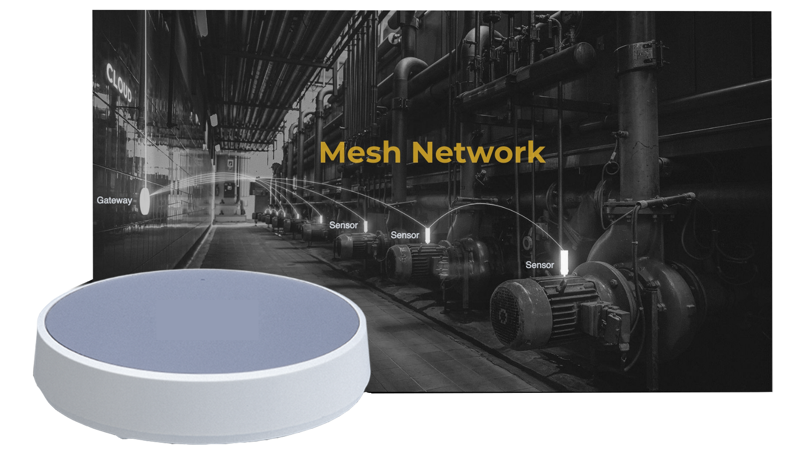 Mesh-New-Graphic (1)