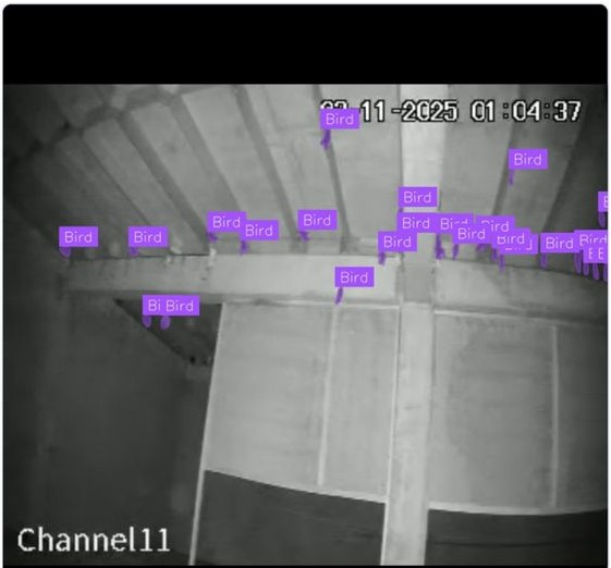 CCTV Infrastructure Analysis